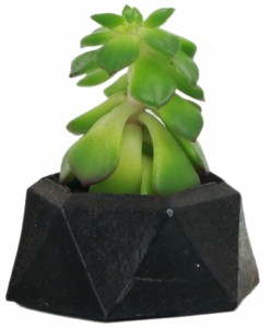 Mini Çiçek Saksı Küçük Sukulent Siyah Kaktüs Saksısı Mini Poly 2 Model